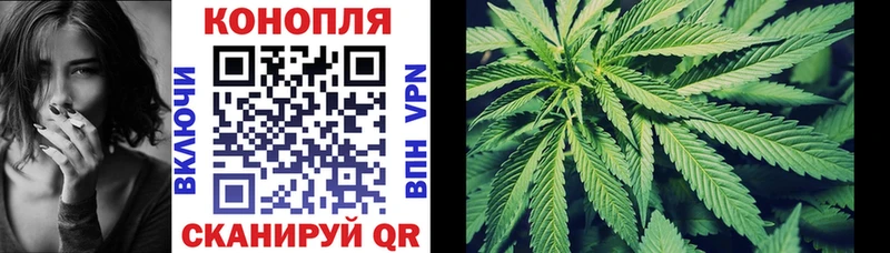 Меф мяу мяу Жиздра