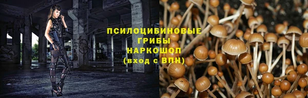 тгк Киренск