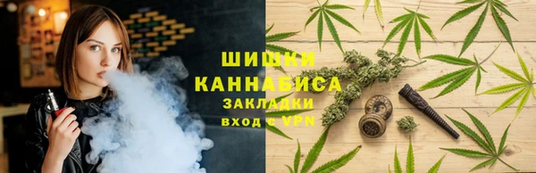 бутират Касимов